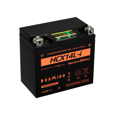 фото Мото BUSHIDO HCX14L-i (15,5Ah)