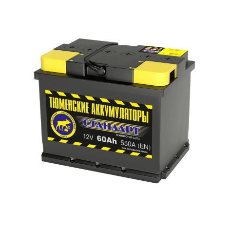 фото Аккумулятор ТАЗ Standard 60 пр (L2.1)