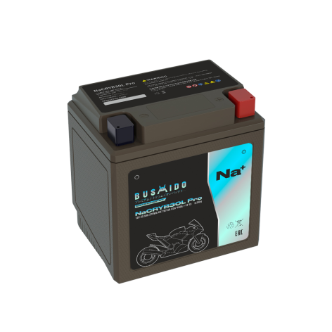 фото Мото BUSHIDO NaCRYB30L pro (YB30L-BS, 22,5Ah) обр