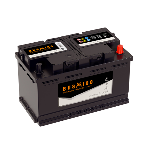 фото BUSHIDO Silver 91 обр (L4.0)