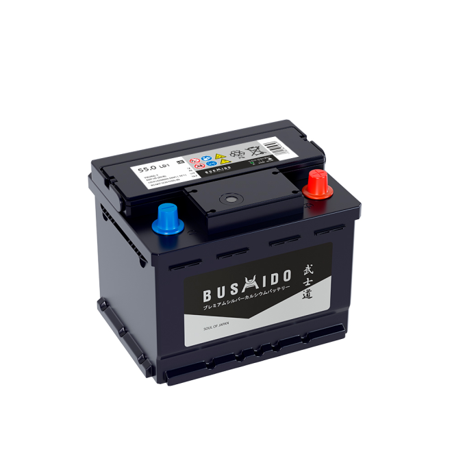 Аккумулятор BUSHIDO SJ 55 обр (LB1.0, низк, HO)