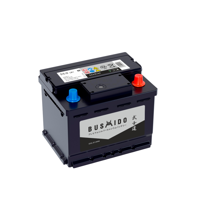 Аккумулятор BUSHIDO SJ 55 обр (LB1.0, низк, HO)