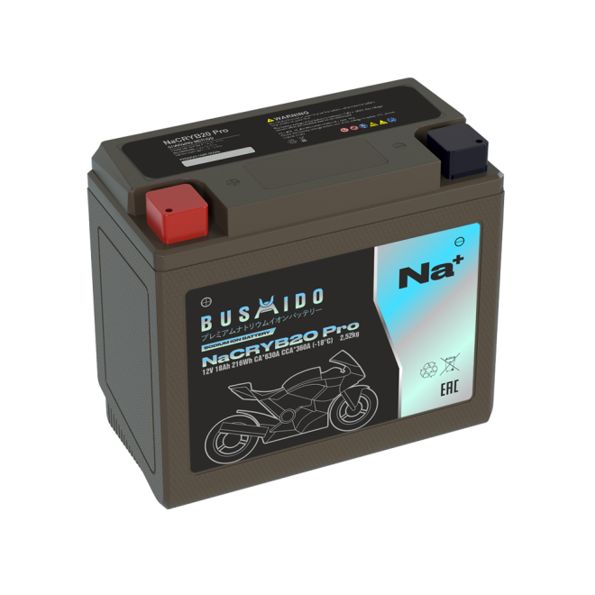 Мото BUSHIDO NaCRYB20 pro (YT20-4, 18Ah) пр