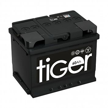 Tiger (Рязань) 60.0 фото 354x354