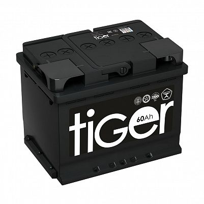 Tiger (Рязань) 60.0 фото 401x401