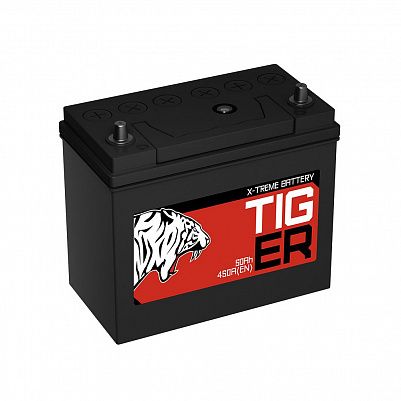 Автомобильный аккумулятор Tiger X-treme (Тюмень) 60B24R (50) пр фото 401x401